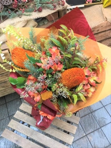 オレンジ系で知的に　