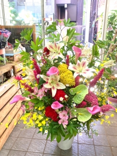 赤・ピンクでカラフルに