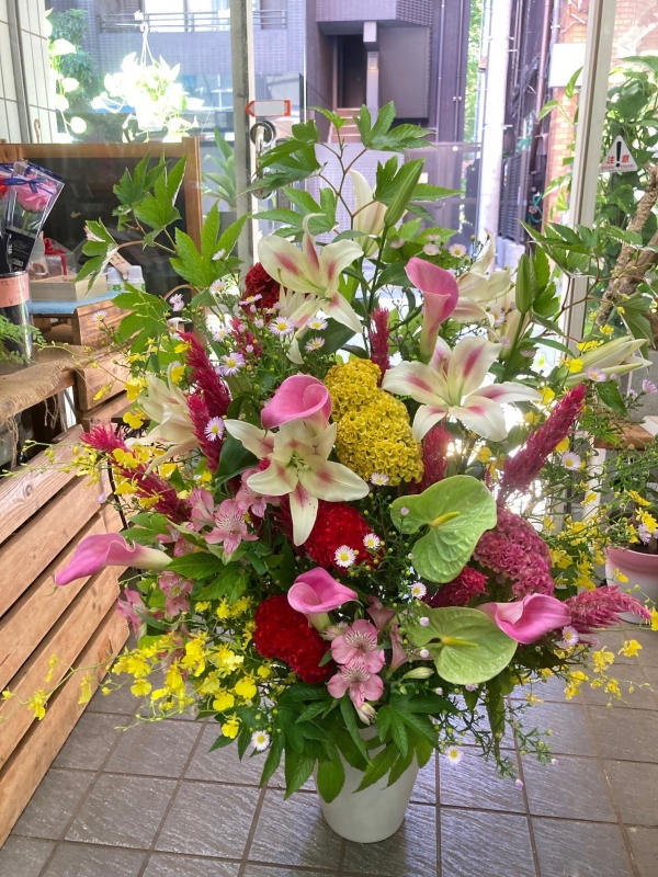 赤・ピンクでカラフルに