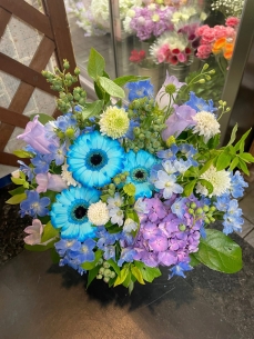 ブルーとグリーンで系で