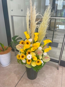 黄色と白色で　演台花