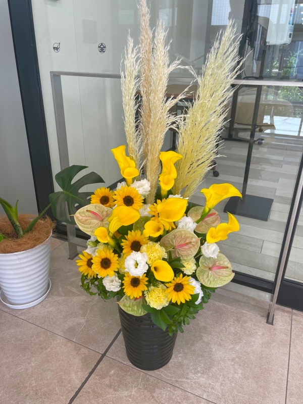 黄色と白色で　演台花