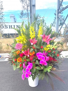 赤紫・黄色系で　演台花