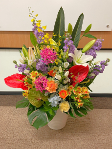 春色でカラフルに　入社式