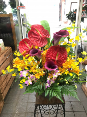 エントランスペースを華やかに