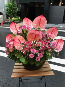 カウンタースペースを華やかに